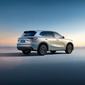 geely_starray_hinten-2